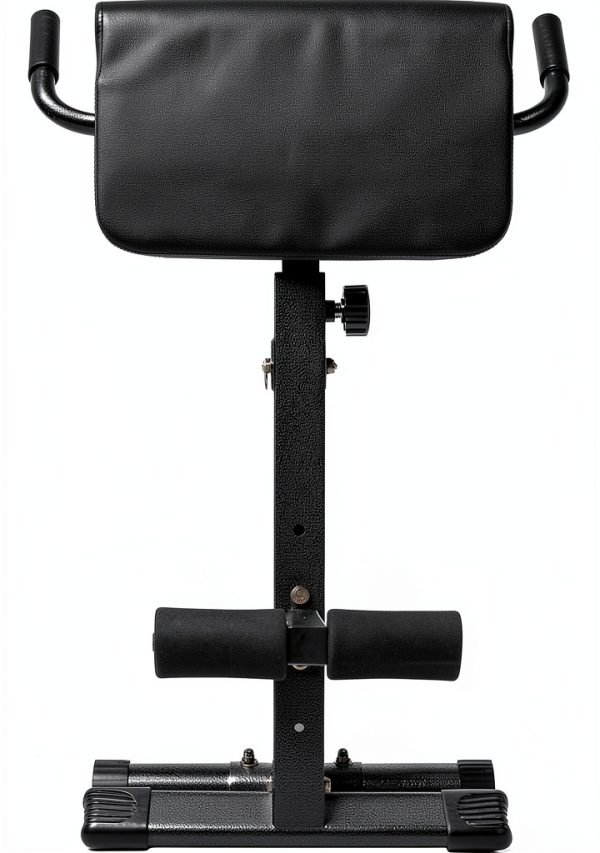BalanceFrom Adjustable Roman Chair AB Back Hyperextension Bench Black-2